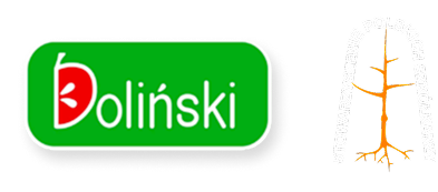 Doliński
